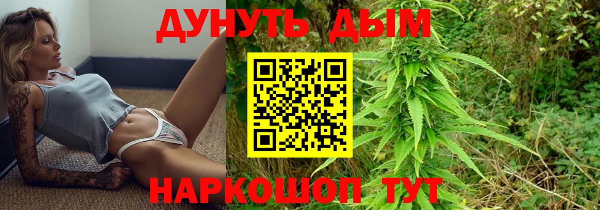 Конопля марихуана Ливны